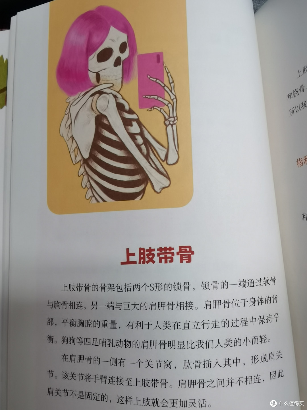认识我们的身体——一套来自俄罗斯科学家的硬核科普书