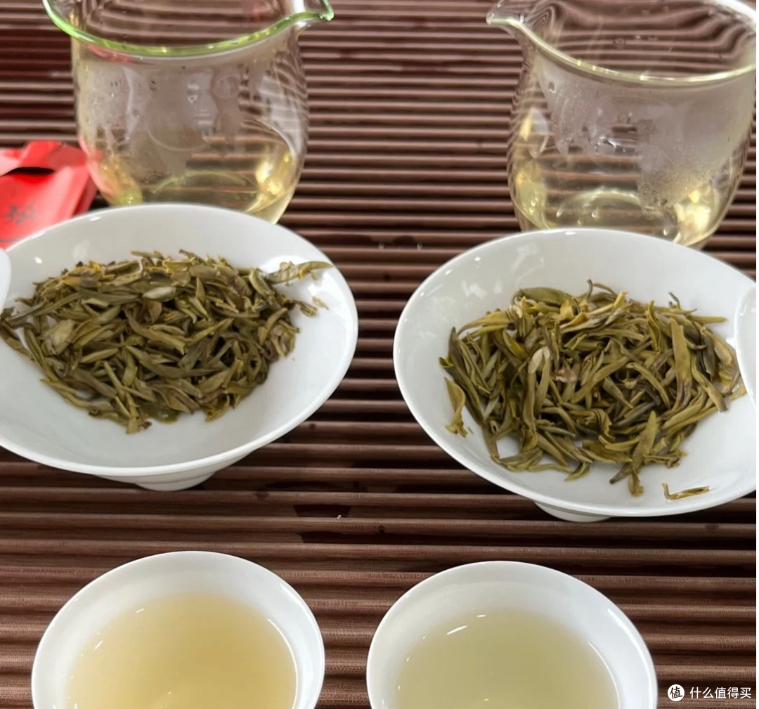 不同派系的高端茉莉花茶,京派、川派、福派测评,哪个更好喝?