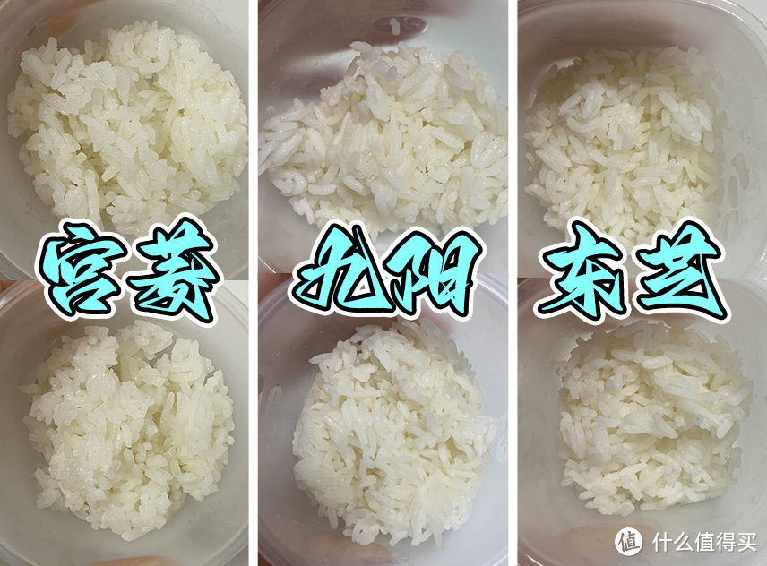 电饭锅怎么选？宫菱、九阳、东芝电饭煲好用吗？三大机皇测评PK