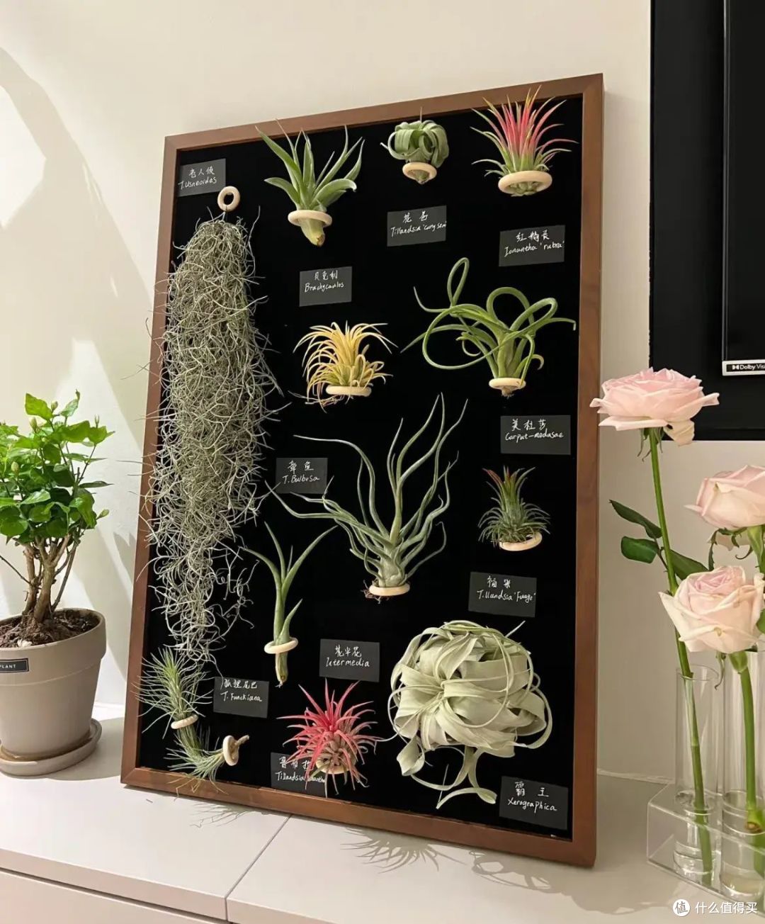 全世界最不值得花大价钱的东西——装饰画(不花钱的反而更高级)