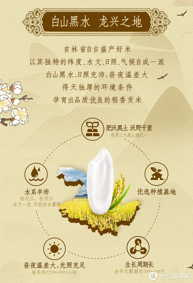 38元5kg*2袋的金龙鱼乳玉皇妃稻香贡米，香糯入魂！