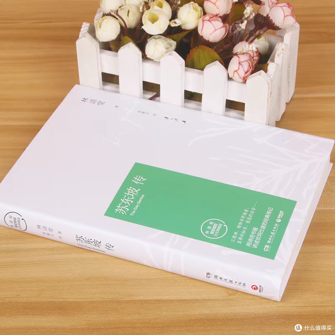 《苏东坡传》，一读就会爱上的经典