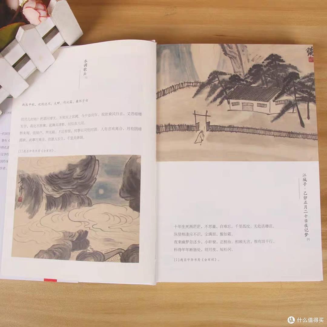 《苏东坡传》，一读就会爱上的经典