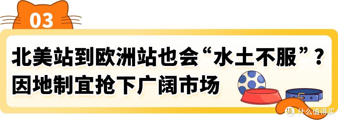 从“铲屎官”到千万富翁：3人如何在亚马逊靠狗项圈逆袭