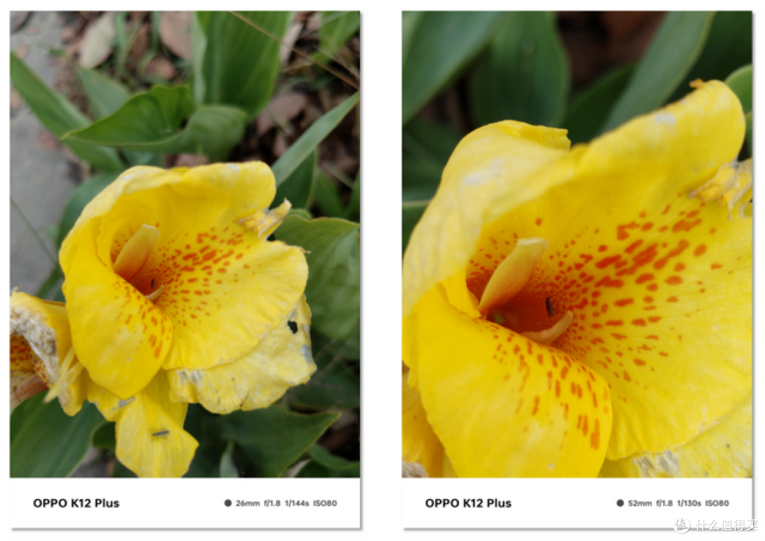OPPO K12 Plus影像体验，成像不错，完全覆盖日常拍照场景