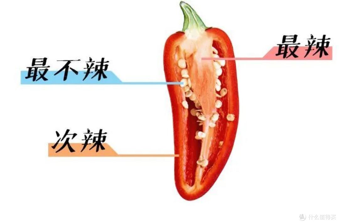 揭秘:辣椒哪个部位最辣?如果辣到手怎么办?