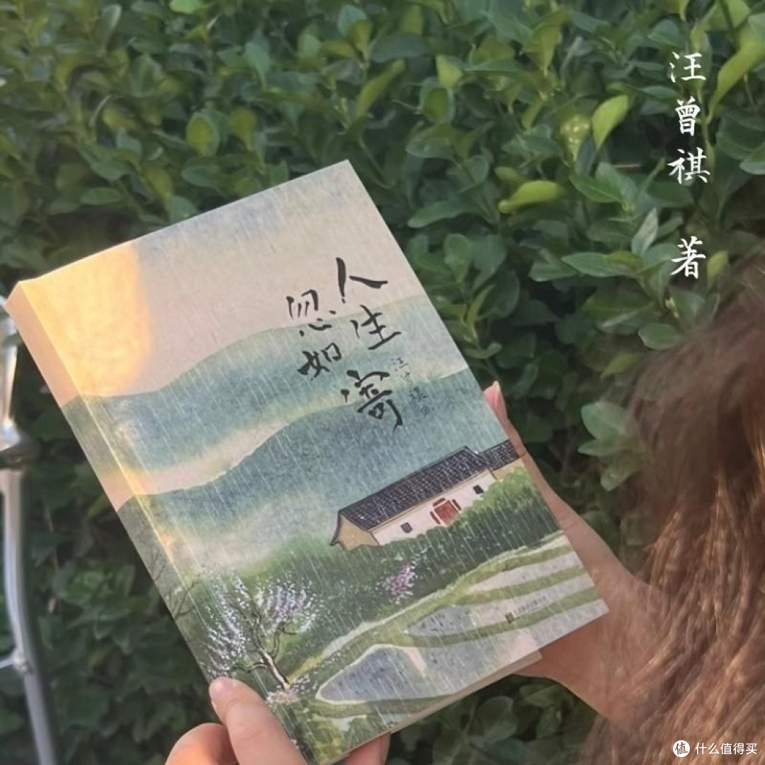 人生忽如寄这本书讲的是什么?