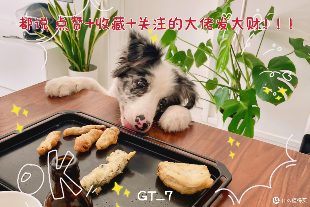 使用绿联NAS搭建家庭影音娱乐中心，从了解到入门！