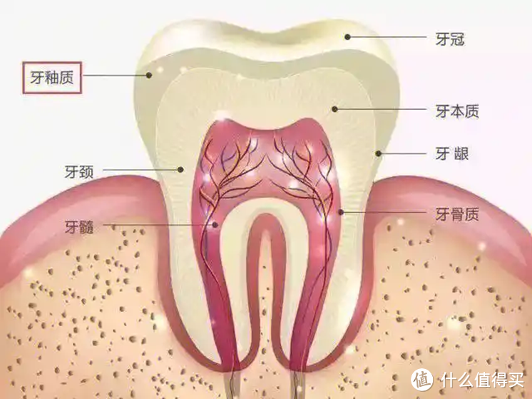 电动牙刷推荐2024保姆级指南！电动牙刷测评揭晓性价比之选：畅销款硬核解析~