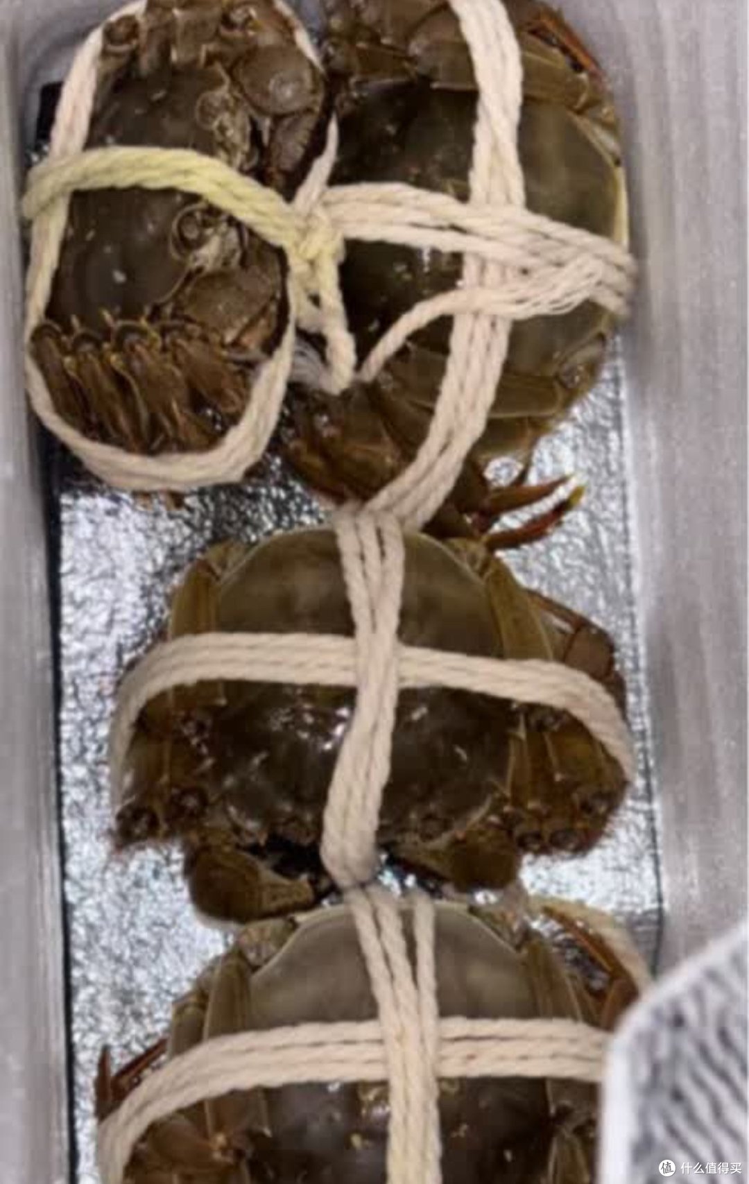 金秋至味,乾澄大闸蟹,一口鲜到心尖