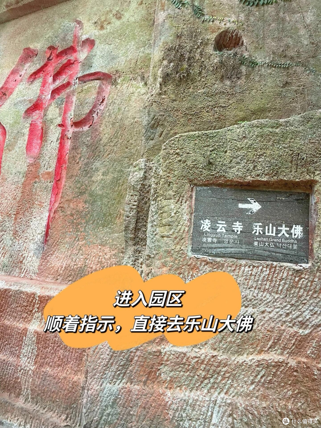 乐山大佛一日游爬山➕坐船保姆攻略(成都往返)