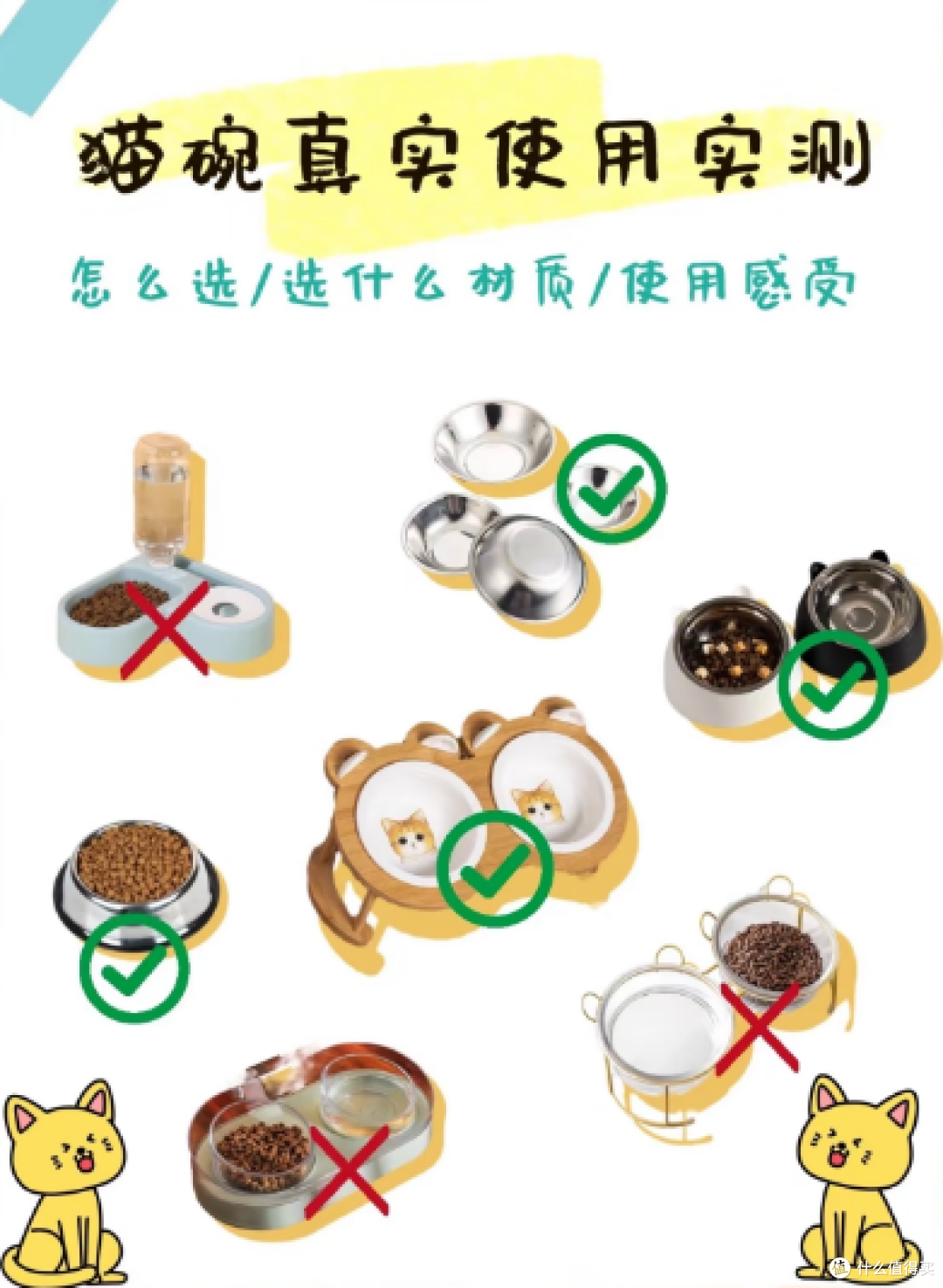 猫猫常见病及预防和养护:守护小猫咪健康指南