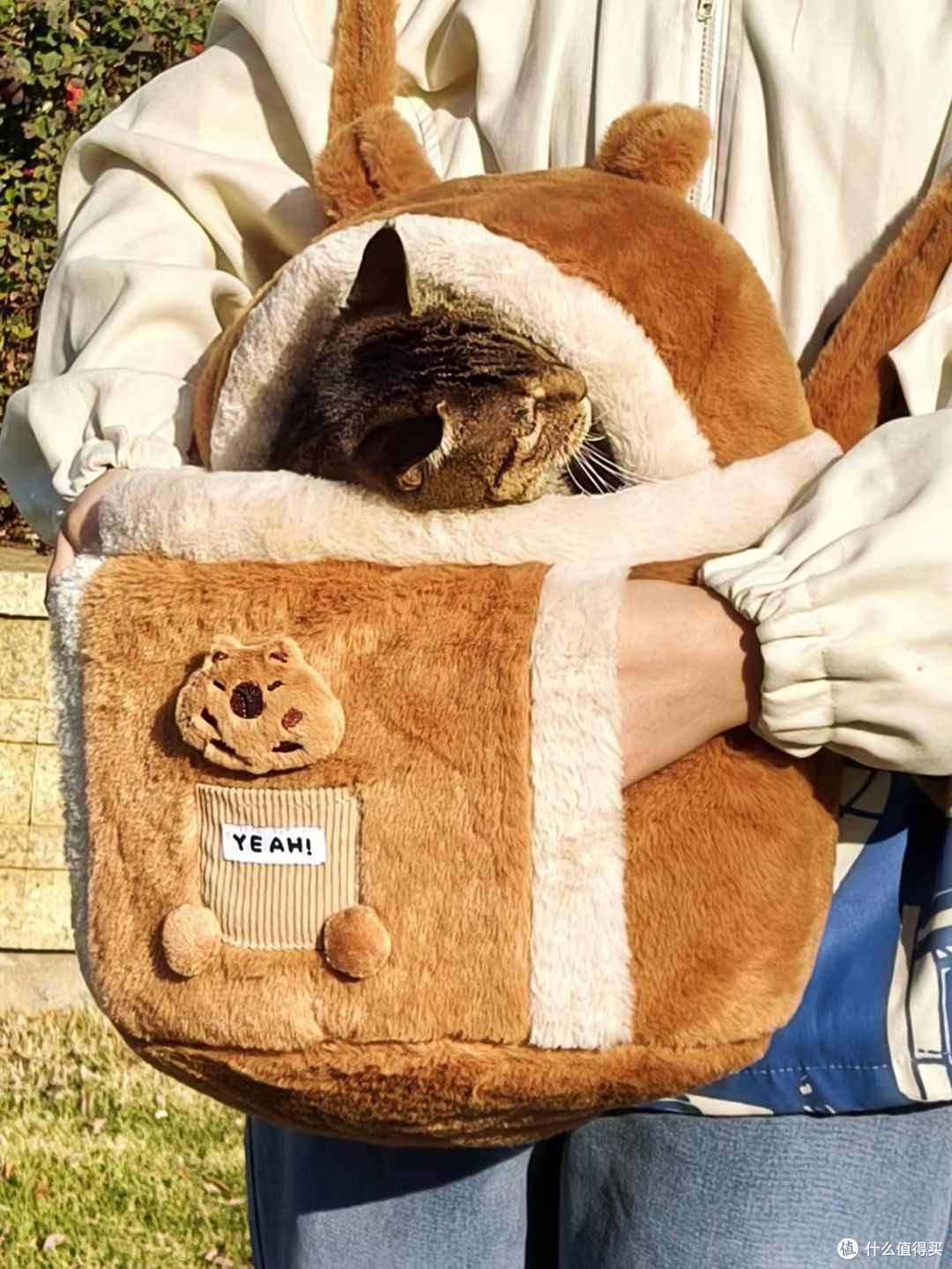 被猫包种草的养猫日常