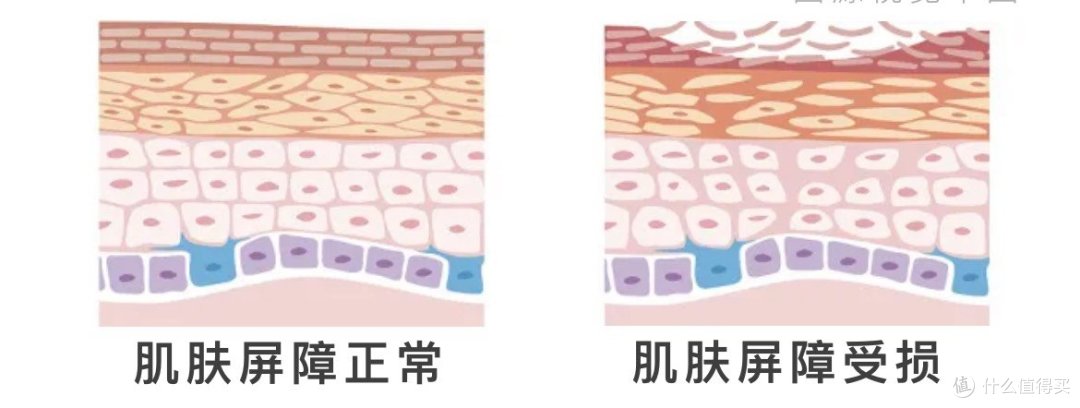 换季肌肤泛红?霏丝佳AI修红霜来守护