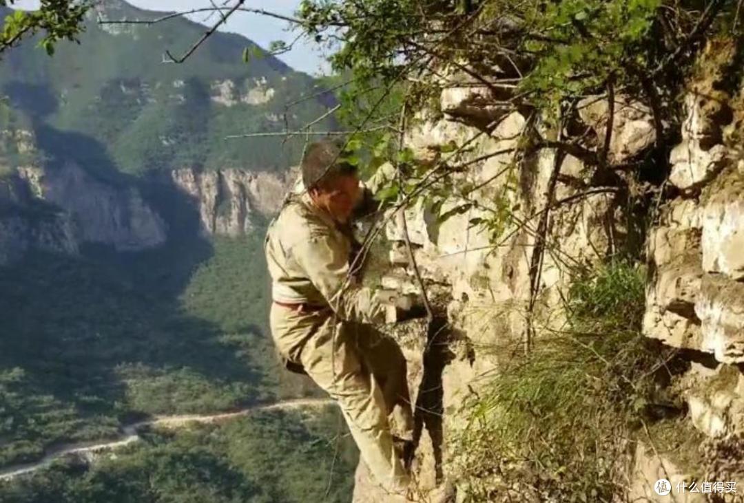 用“命”换来的“崖柏”,曾经贵比黄金,如今却“一文不值”