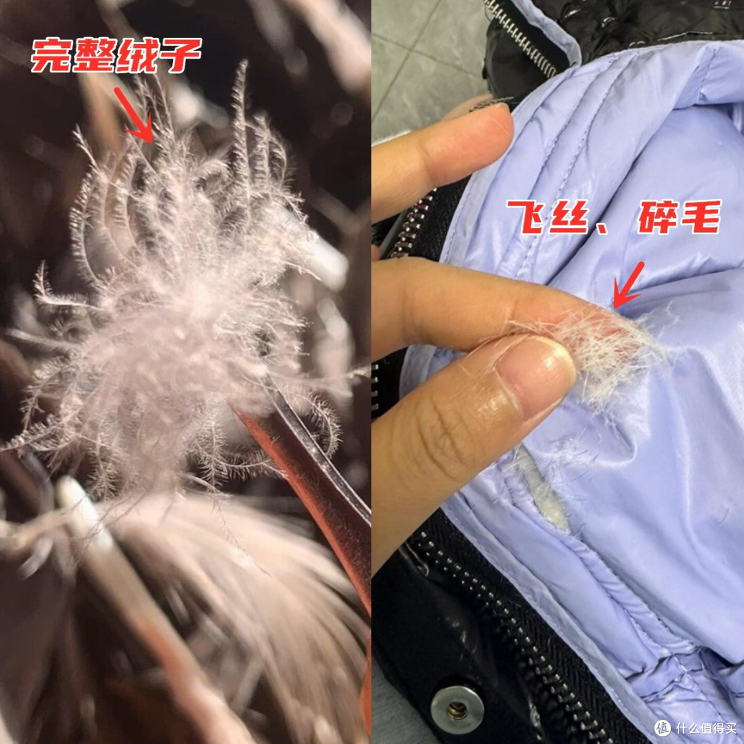 “假羽绒服”曝光:一件羽绒服怎么快速辨别真假?内行教你4招