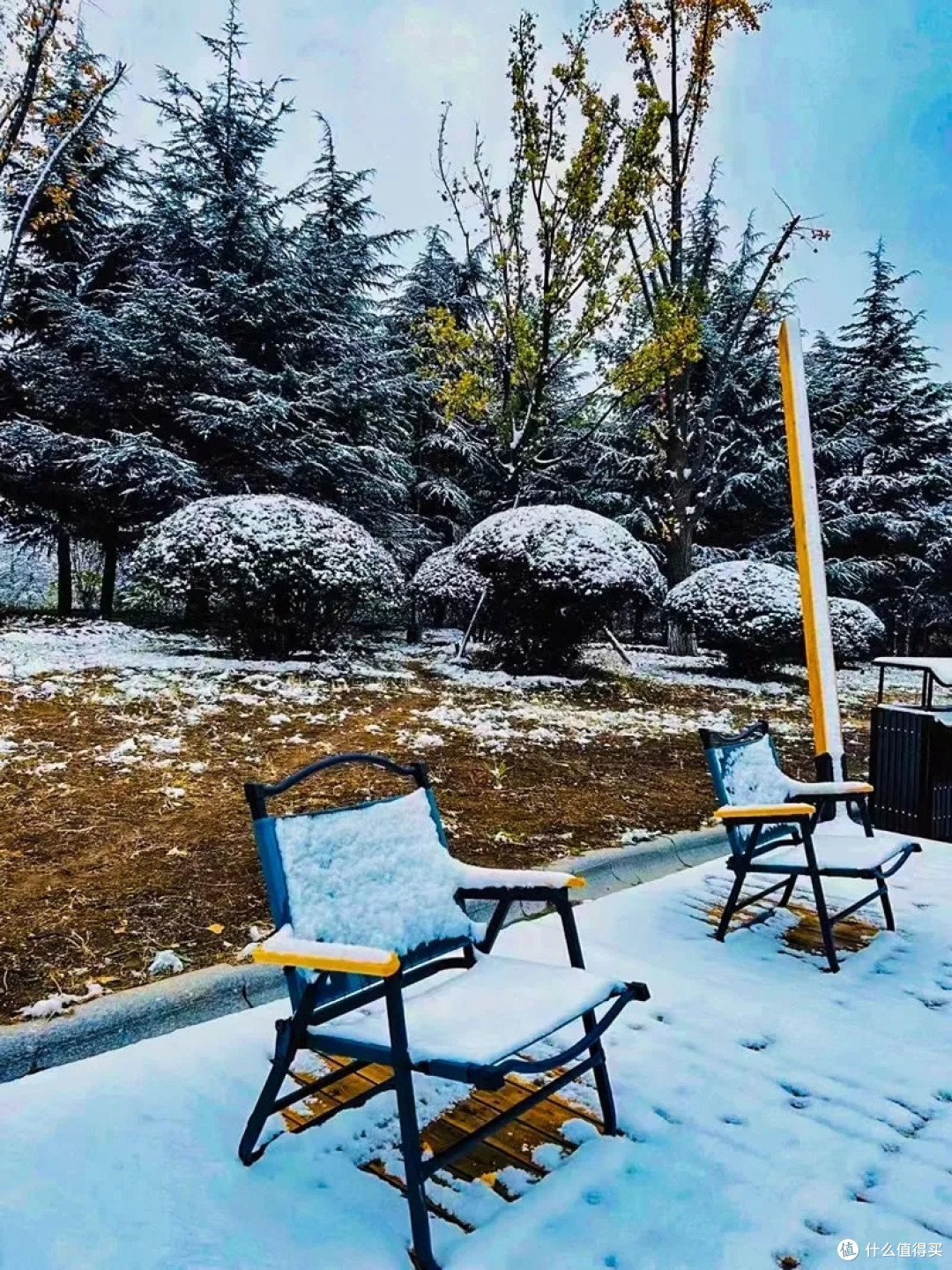 城市的雪