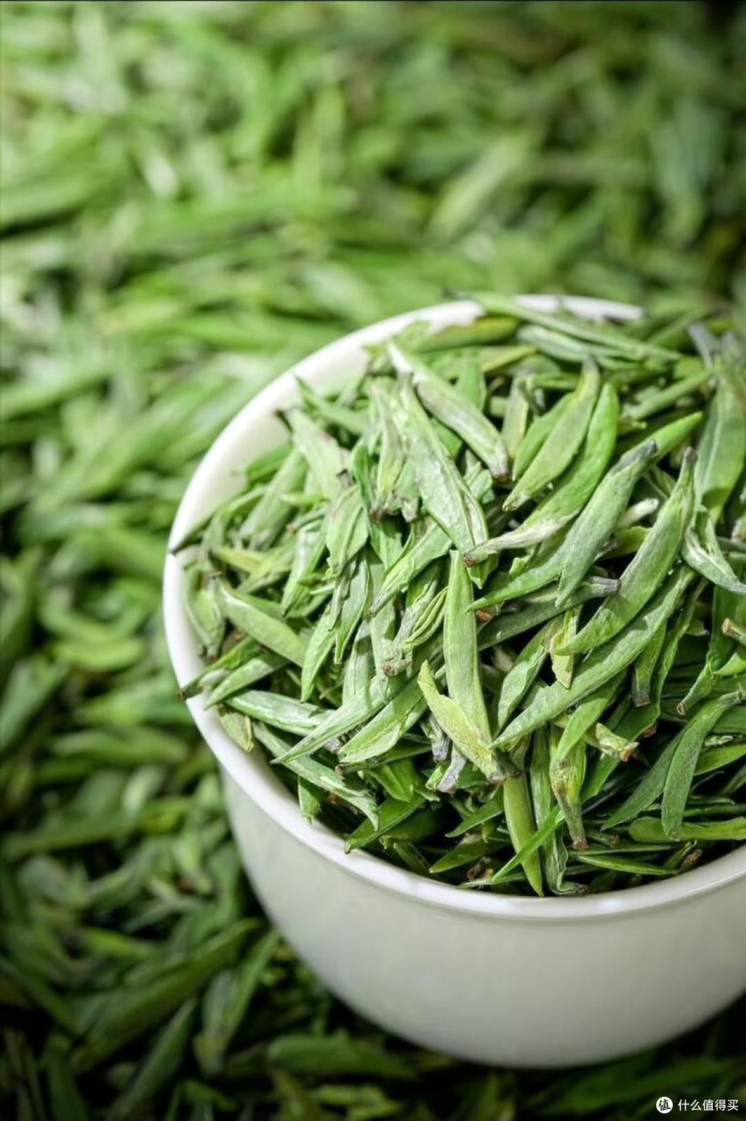 中国,哪的“雀舌”最好喝?经评选,这10大产区上榜,您最爱哪款