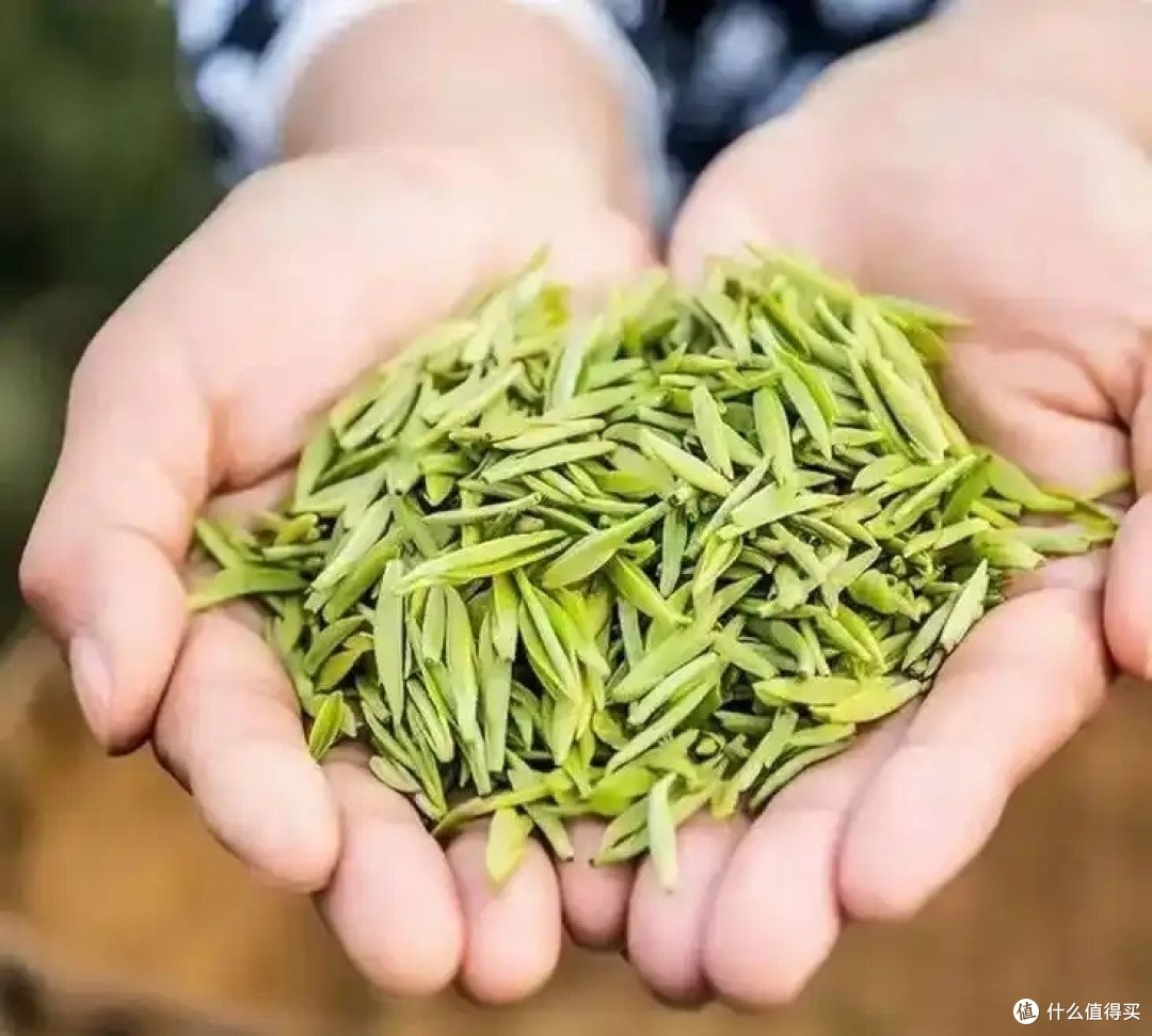 中国,哪的“雀舌”最好喝?经评选,这10大产区上榜,您最爱哪款