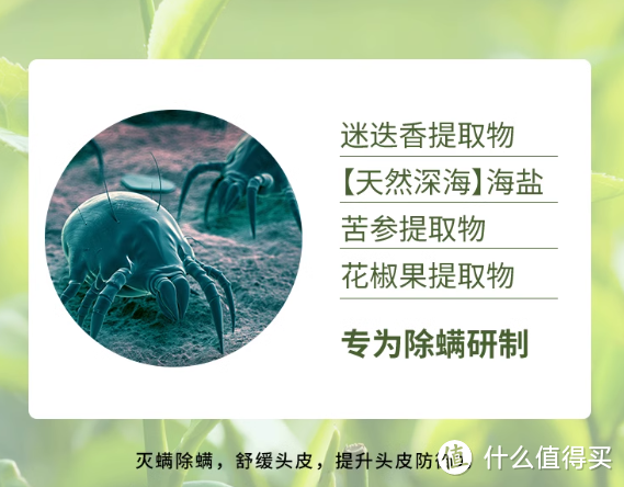 🌊🌿 海洋之源，净螨新体验 —— 您的专属除螨控油蓬松洗发水 🌿🌊