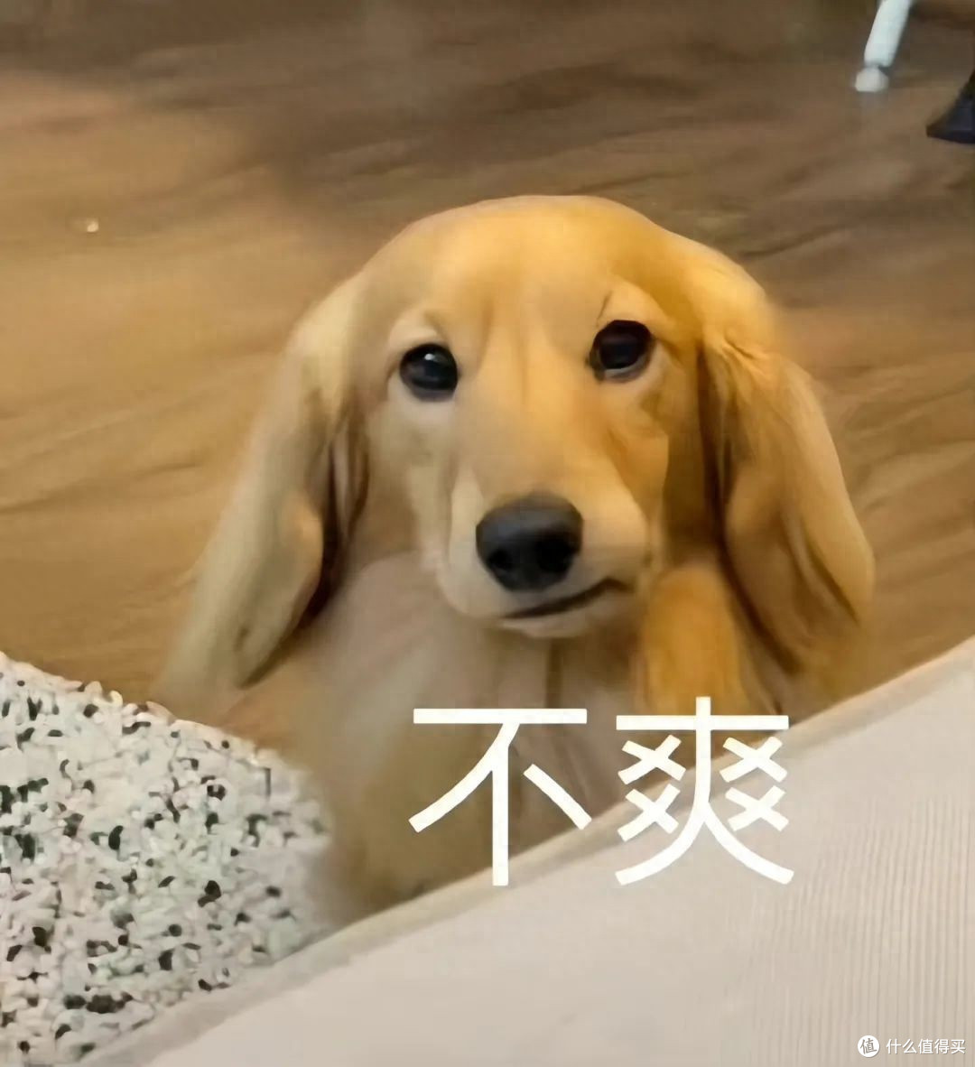 不靠“爽”也能上桌，终于等到她的新作了！