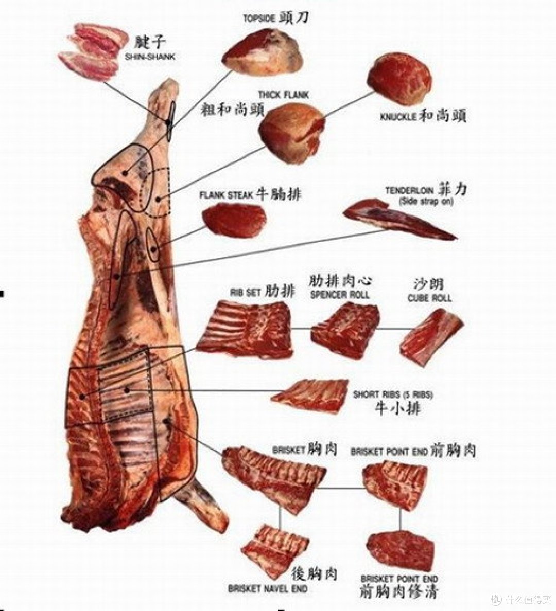 图片来自网络，仅供参考
