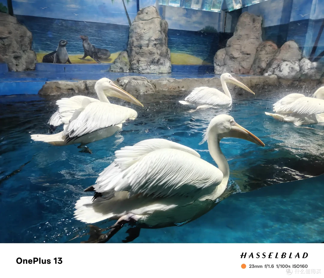 三代沉淀，我认为的万金油平板——OPPO Pad3深度评测