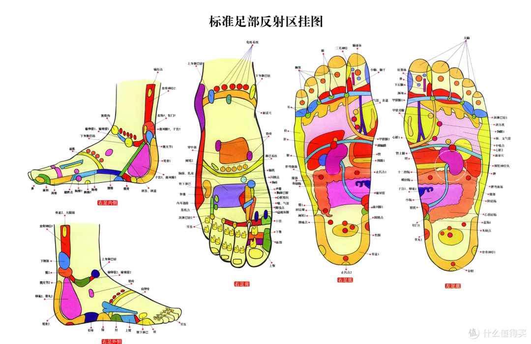 足疗的保健作用,到底是什么原理?