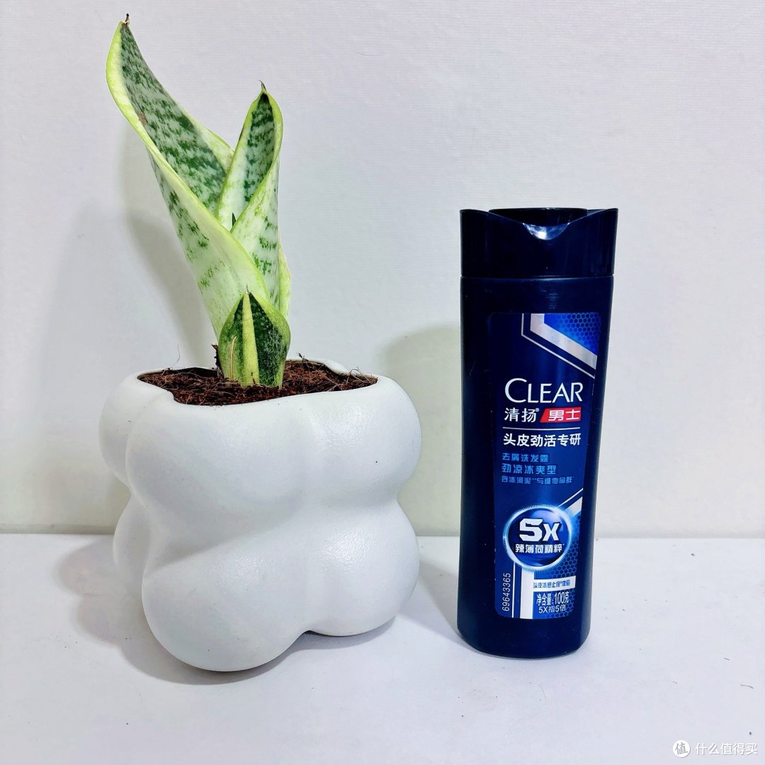 五款去屑洗头水深度横评，花最少的钱选最适合自己的洗发产品！