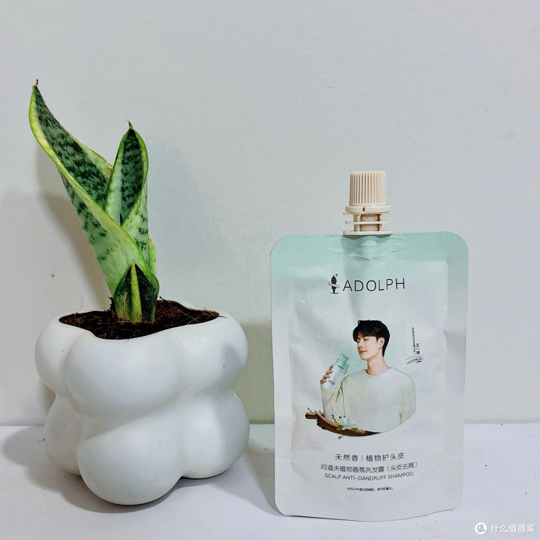 五款去屑洗头水深度横评，花最少的钱选最适合自己的洗发产品！