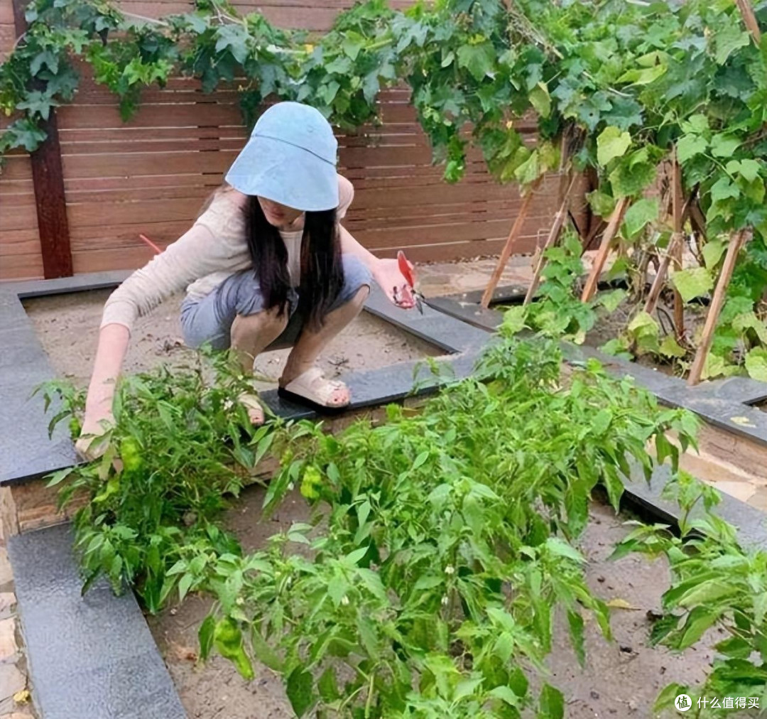 香港一38岁姑娘,买下别人嫌弃的一楼,将院子改成卧室,真有创意