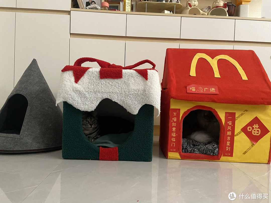 教你低成本做个简易猫屋，猫猫过冬不用愁