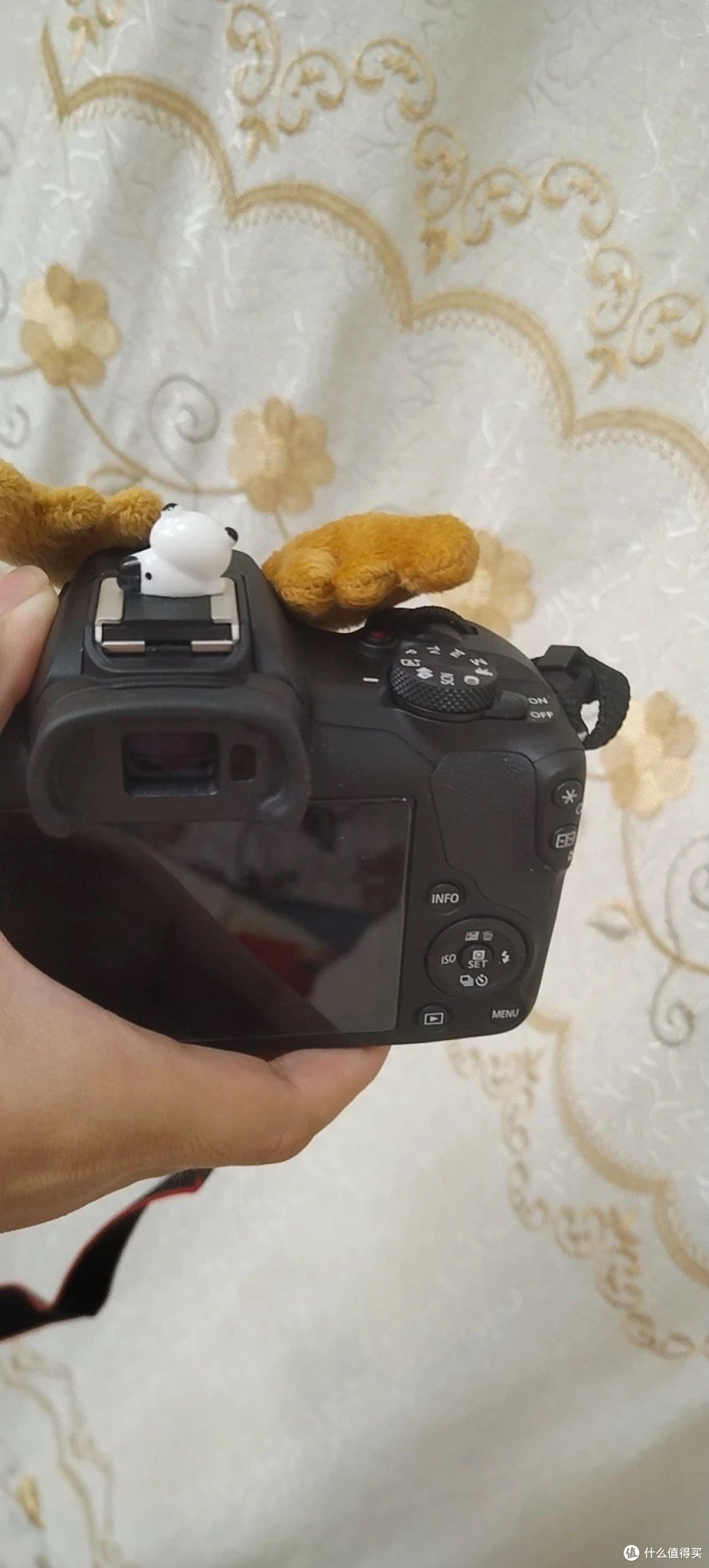 佳能R100微单相机 入门相机首选！