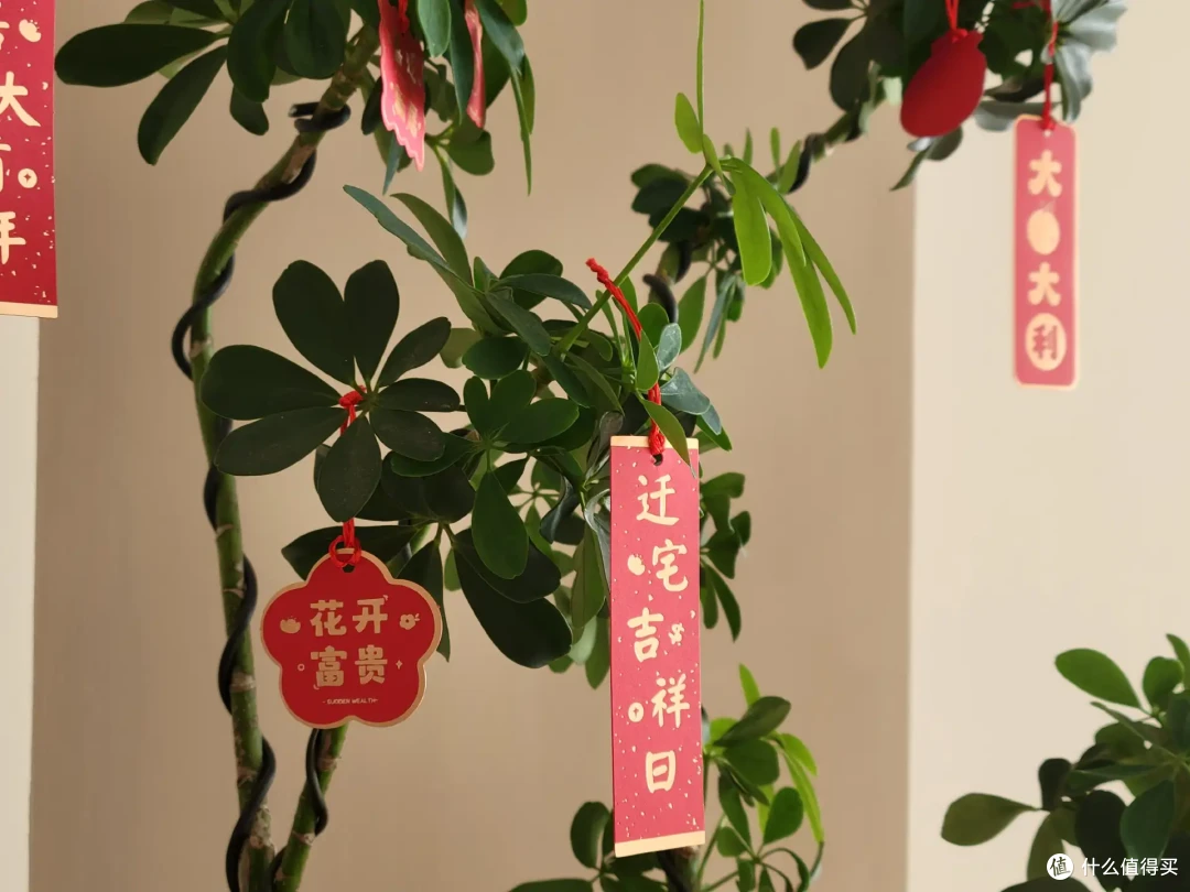 值友的家|Vol.2 低成本改造实录,让原木奶油风的客厅焕然一新!