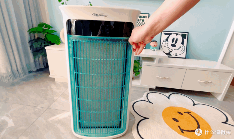 舒乐氏Umi宠物净化器吸附宠物浮毛、去异味，更呵护家人健康