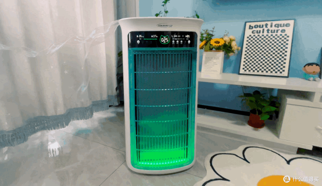 舒乐氏Umi宠物净化器吸附宠物浮毛、去异味，更呵护家人健康