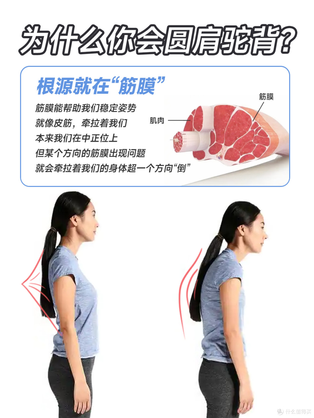 头前伸圆肩驼背达咩,每天放松让背更直!