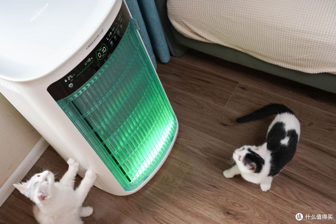 什么才是猫毛的克星?舒乐氏Umi宠物净化器上演猫毛消失术