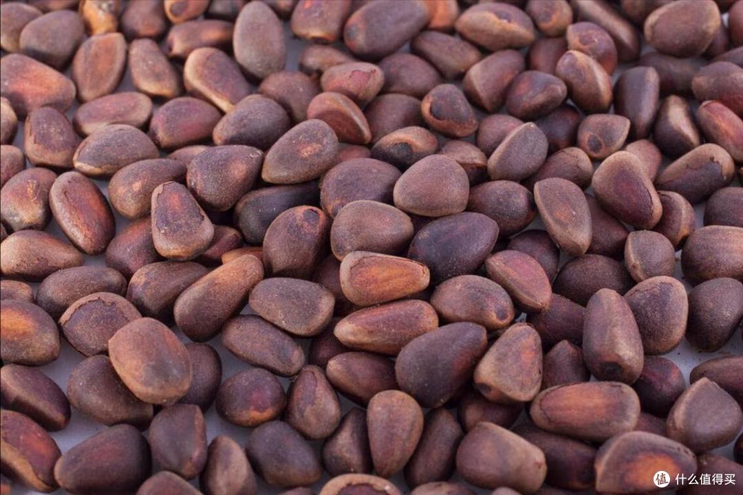 中国哪的“松子”最好吃?经过评选,这10个地方上榜,有你家乡吗