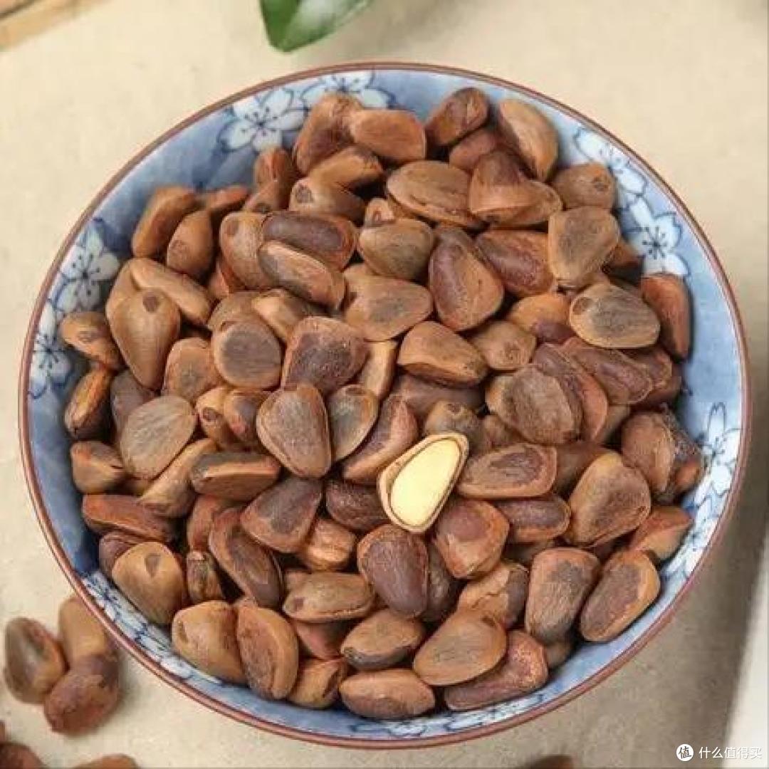 中国哪的“松子”最好吃?经过评选,这10个地方上榜,有你家乡吗