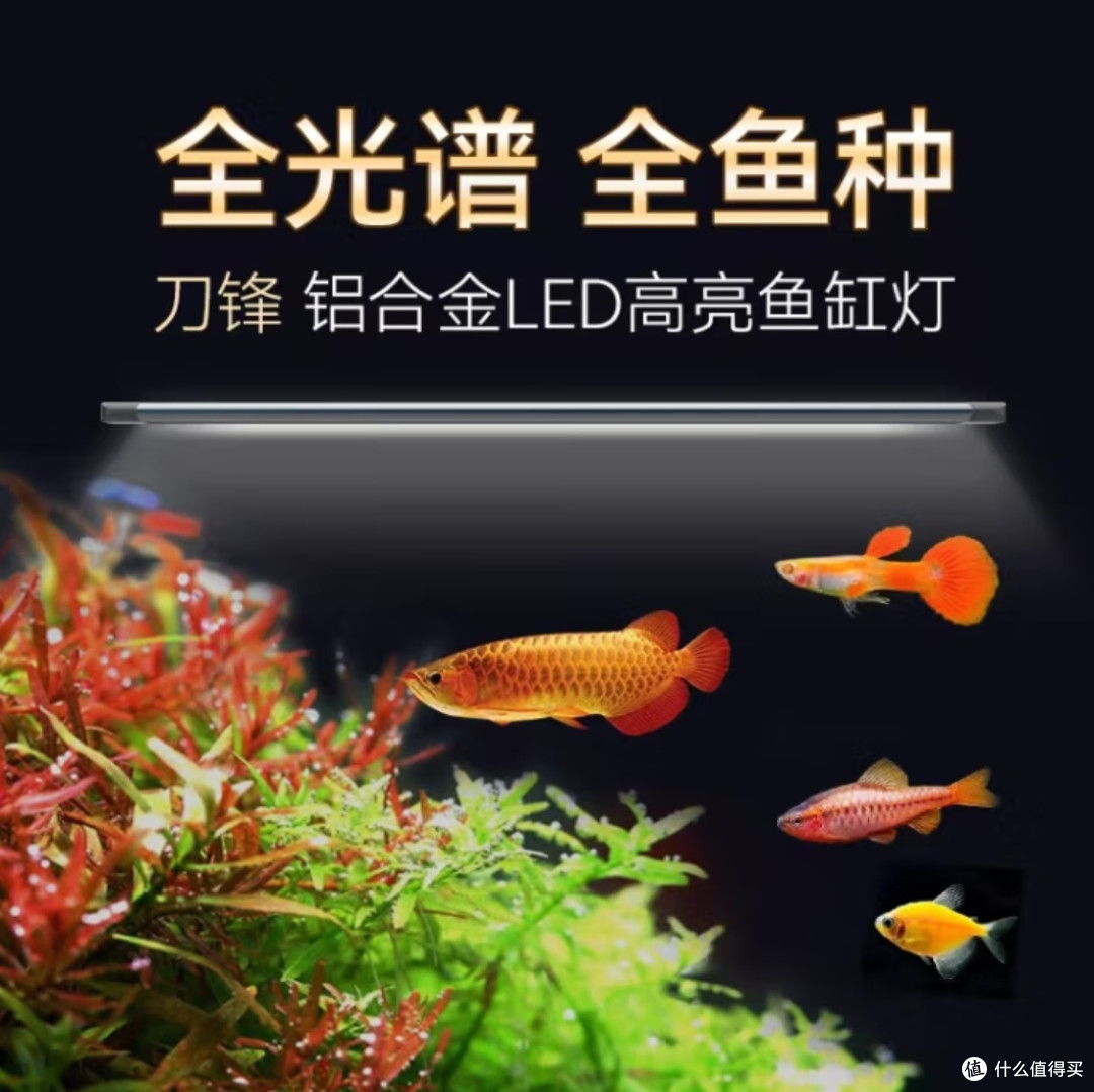 吉印刀锋 S 鱼缸灯:小缸照明的绝佳之选