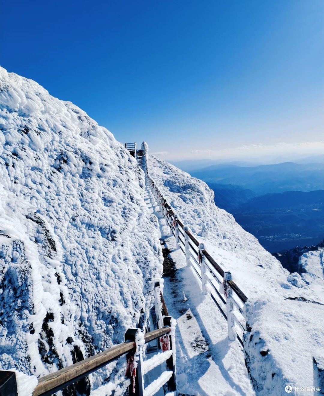 昆明轿子雪山:四季盛景,自然瑰宝