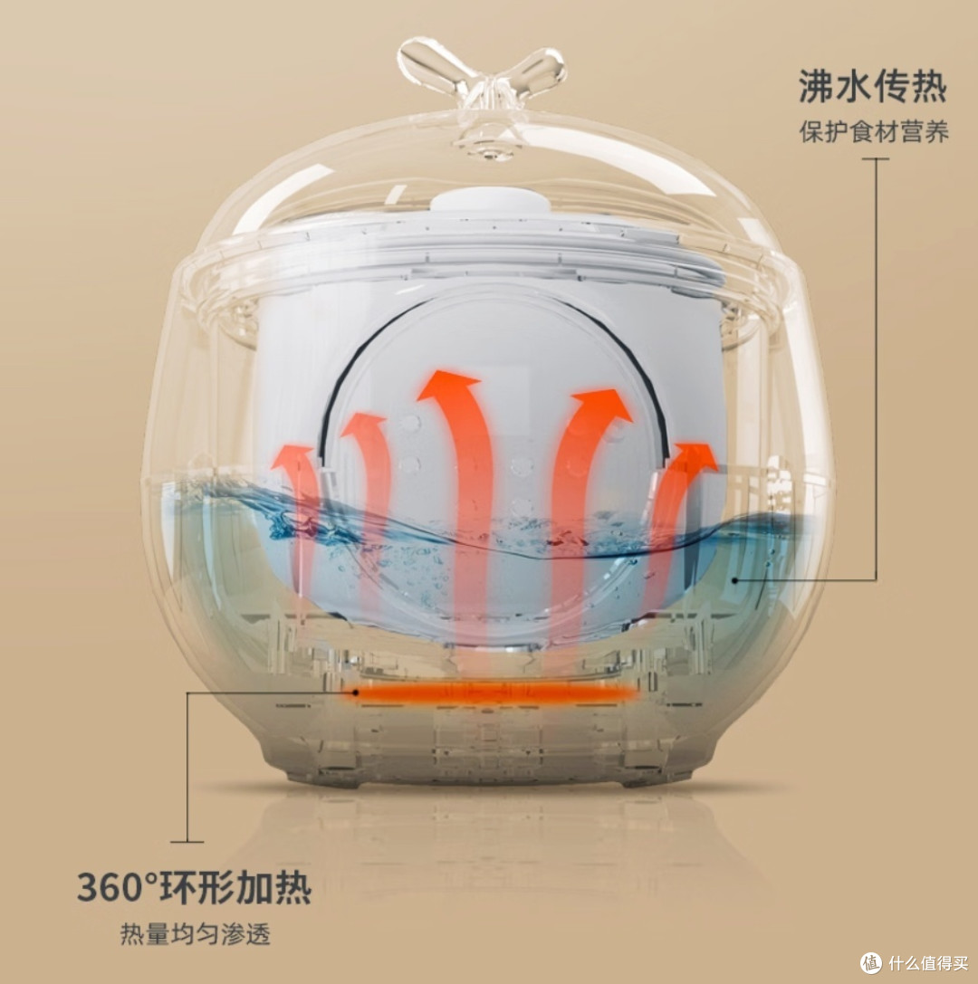 BabyStar奶油mini电炖盅DDZ05:家庭养生的智能选择