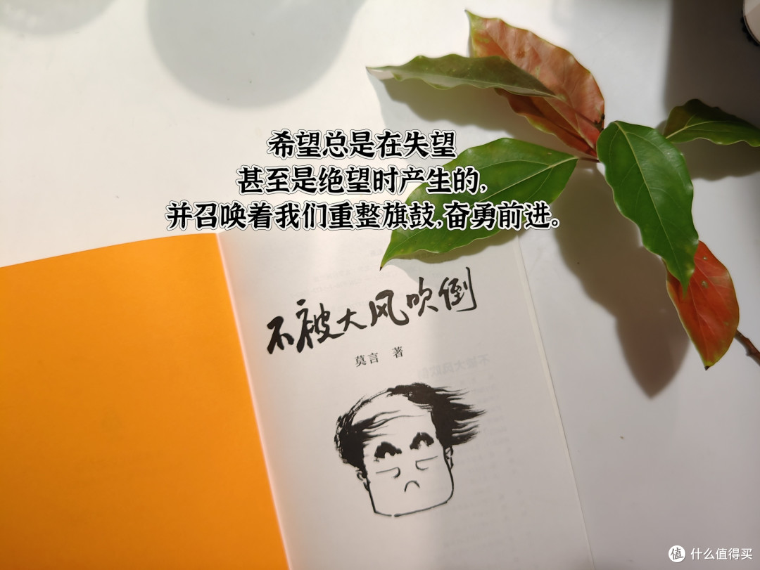 从未读过莫言小说的我,在看莫言的散文…… 想听听我的感想吗?