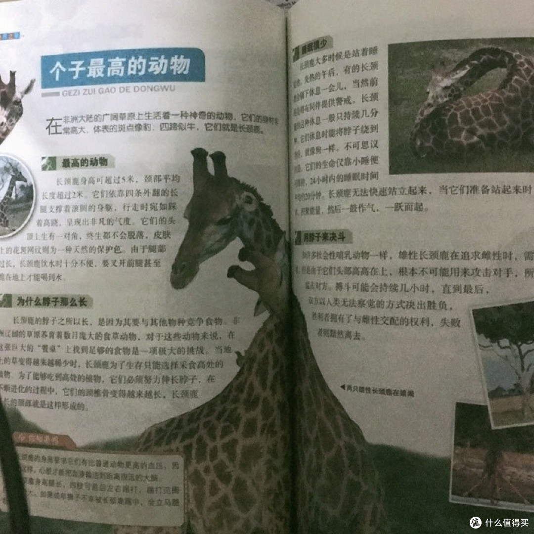 《世界之最》:儿童科普的宝藏读物