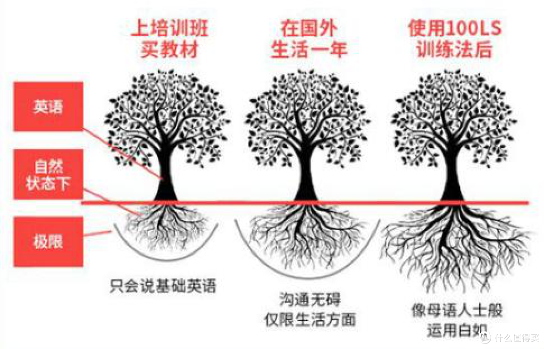 英语成绩倒数,他用100LS搞掂4国外语,1年达到了口译水准