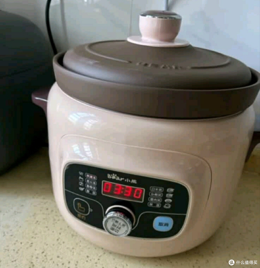 小熊DDG-D40B1电炖锅，轻松煲出美味养生汤！