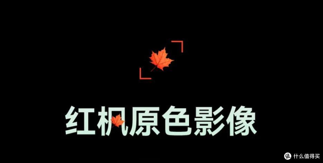 体验了半个月华为Mate 70 Pro+,我发现了红枫摄像头的秘密