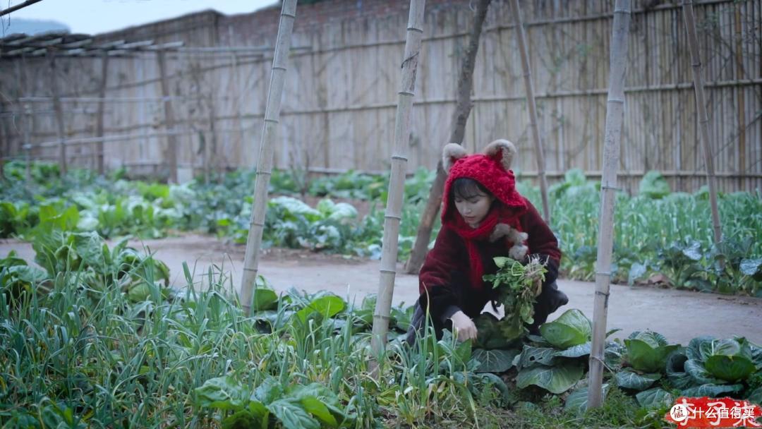 李子柒教做的8种小零食,春节期间保准受欢迎,心灵手巧具象化了