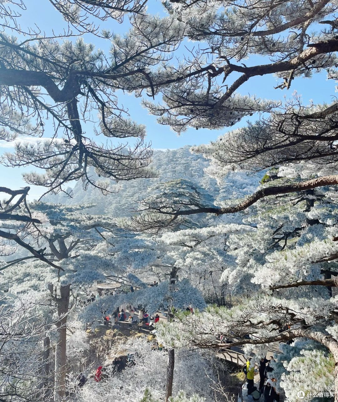 黄山:一生必去的奇景胜地